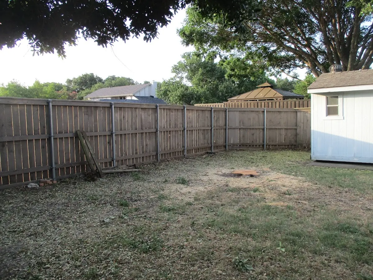Cleared yard after professional tree removal in Judsonia
